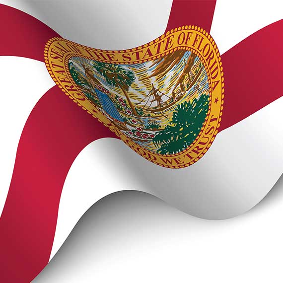 FLVAF Represents Veterans in the State of Florida